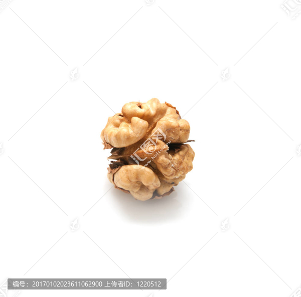白底核桃