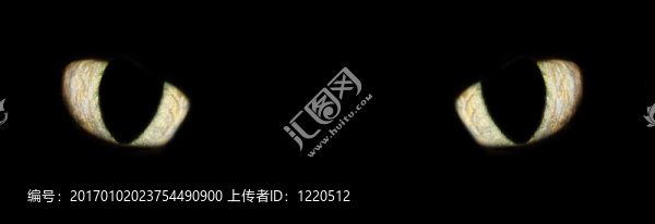 貓的眼睛