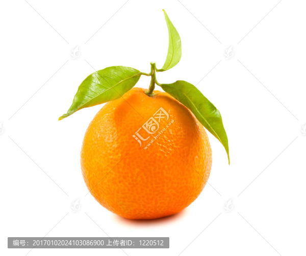 成熟的Tangerine夜店