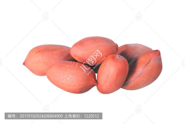 白色背景上美味花生的分離