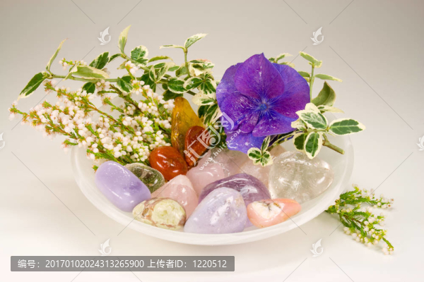 用于治療不同的寶石花