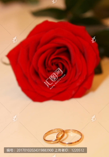 白色的玫瑰和結(jié)婚戒指