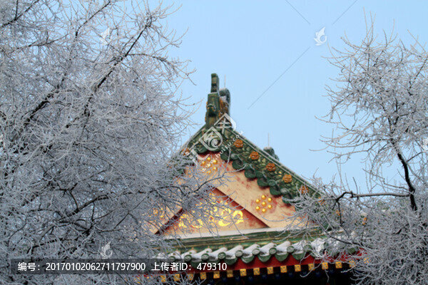 寺廟,建筑,雪,霧凇冬天,雪景