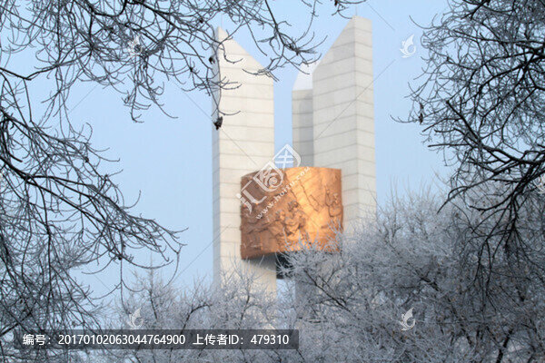 大慶,城市深林,冬天,瑞雪
