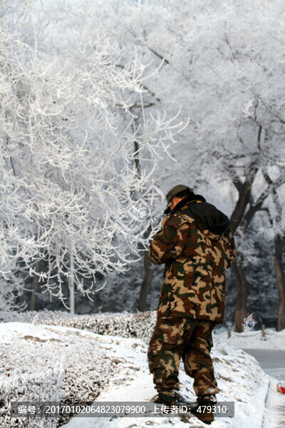 霧凇,樹(shù)掛,冬天,雪景