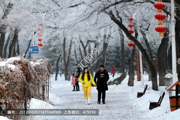 大慶,城市深林,冬天,瑞雪