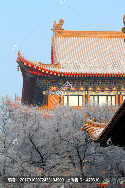 寺廟,建筑,雪,霧凇冬天,雪景