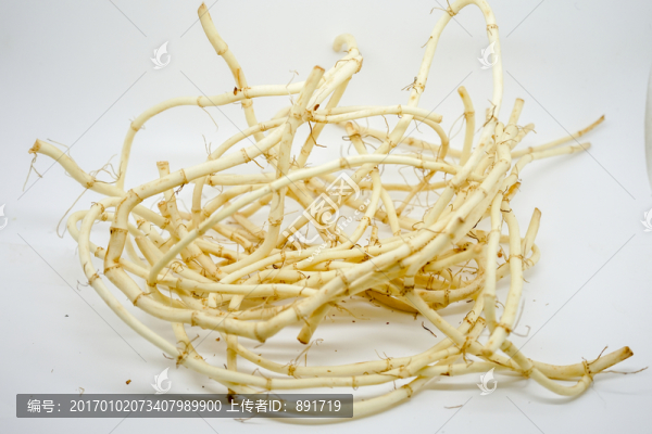 魚腥草,,折耳根