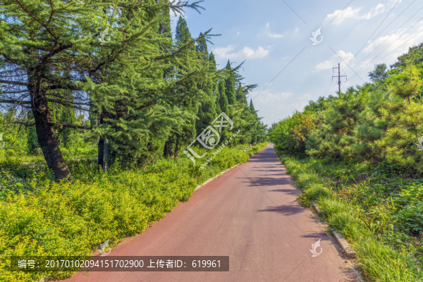 自行車專用路
