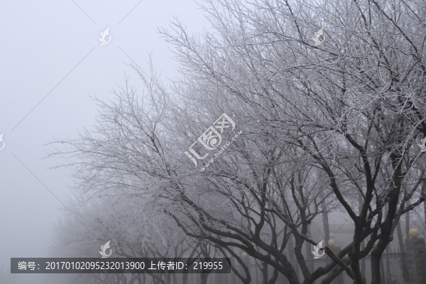 霧凇