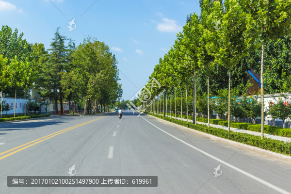 城市道路