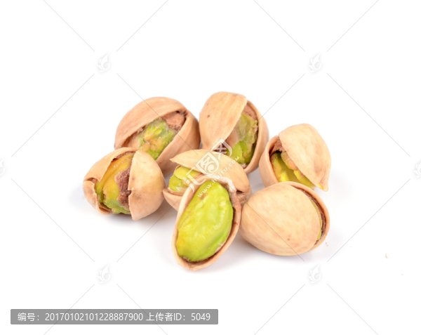 原色開心果