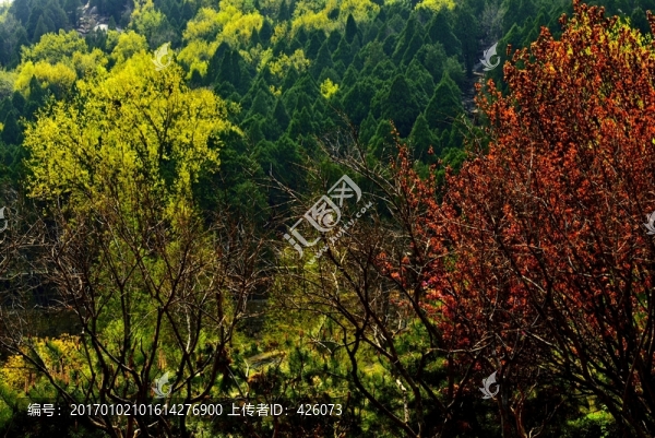 春天山色-匯圖網(wǎng) www.fosd68.com 春天山色