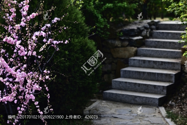 石板路旁花盛開