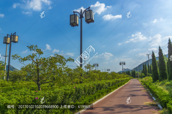自行車專用路