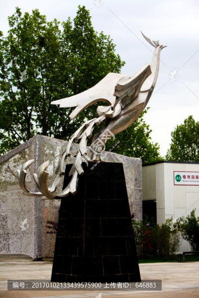 鳳凰,展翅