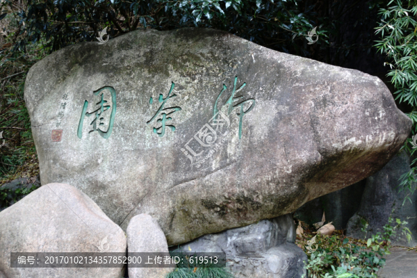 武夷山風(fēng)光,佛茶園