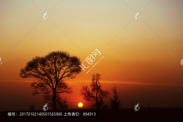 田野風(fēng)光