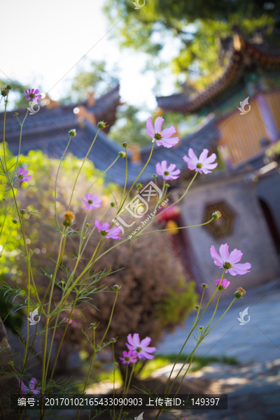 格?；? title=