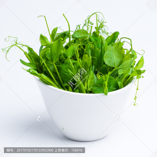 豌豆苗