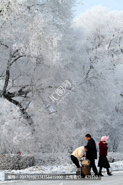 霧凇,冬天