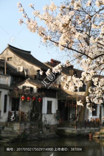 西塘古鎮(zhèn)