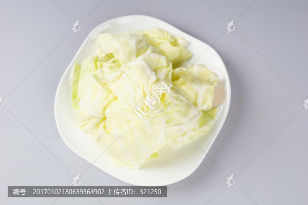 卷心菜