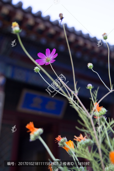 格?；? title=