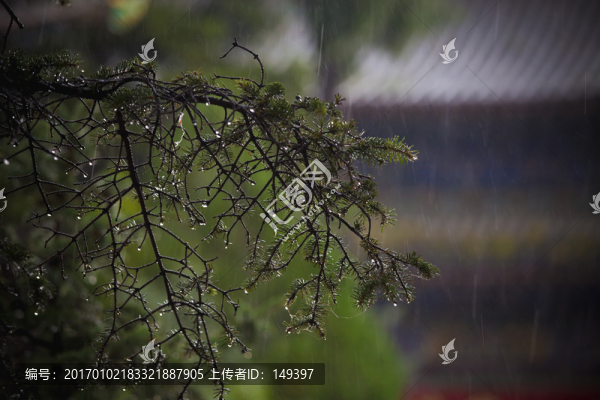 雨天
