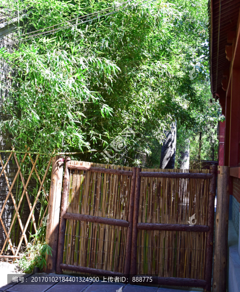 綠竹和柴扉木門