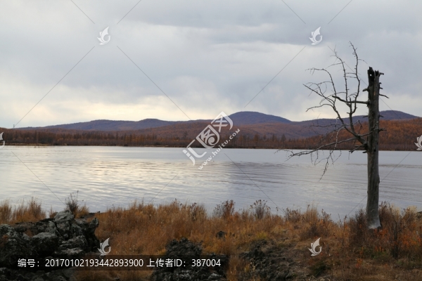 阿爾山杜鵑湖