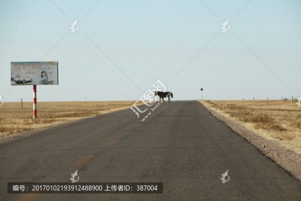 草原上的公路