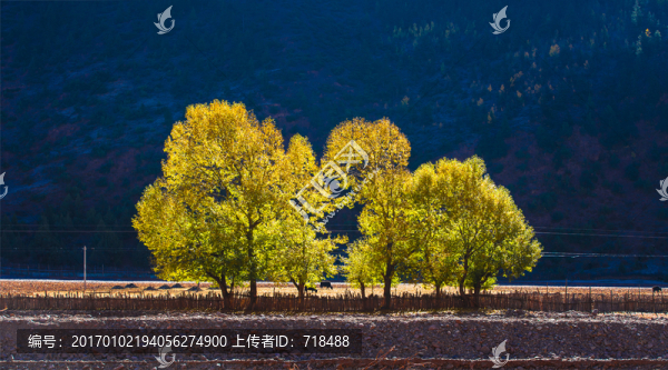 秋色,滇藏線,沿途風(fēng)光