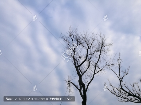 別樣公園風(fēng)貌