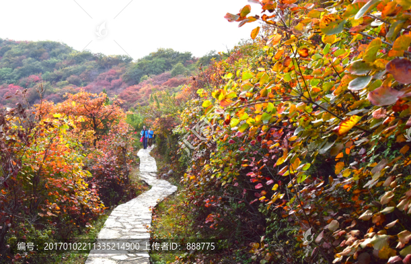 秋季山景旅游攝影圖