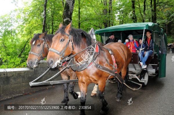 德國(guó)馬車,觀光旅游