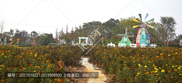 花叢中的卡通風(fēng)車(chē)圖片