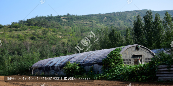 山腳下的豬舍圖片