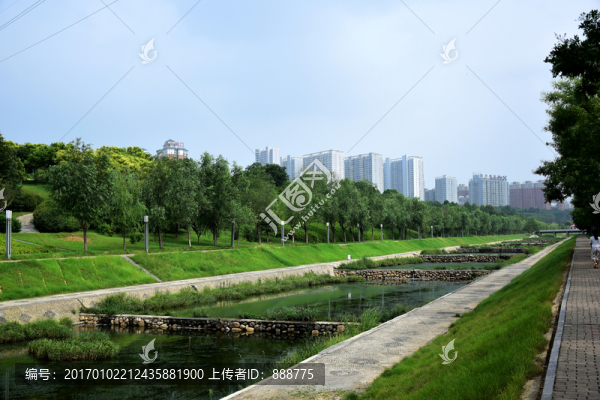 濱河公園綠色樹(shù)林