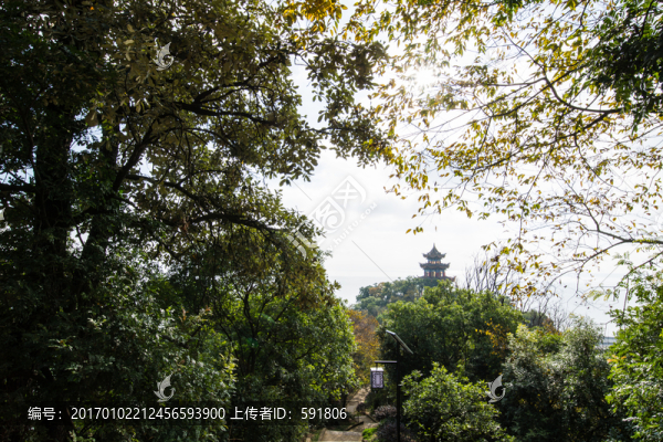 觀音寺大悲閣遠(yuǎn)眺
