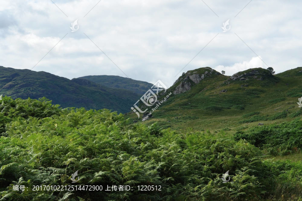 田園詩(shī)般的蘇格蘭風(fēng)景