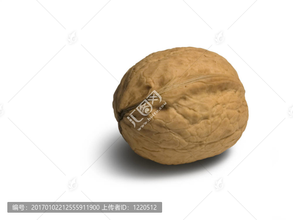 核桃