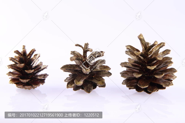 科尼弗錐