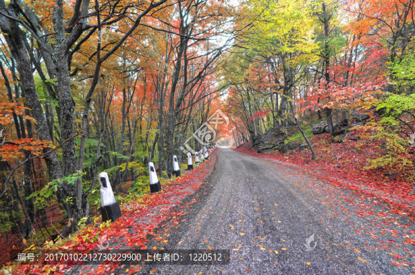 山路