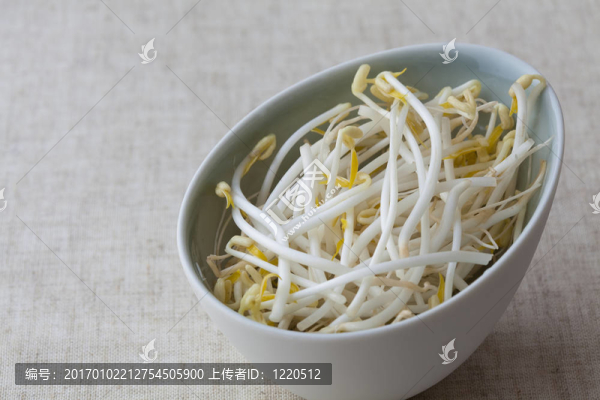 豆芽