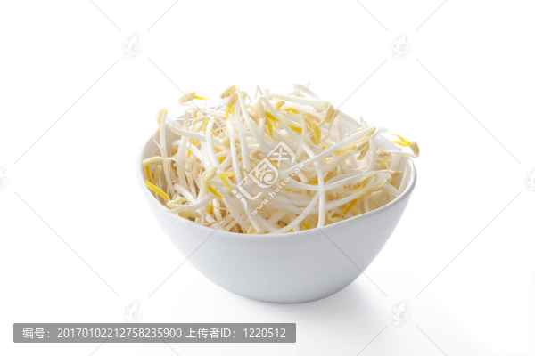 豆芽