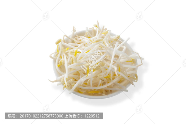 豆芽