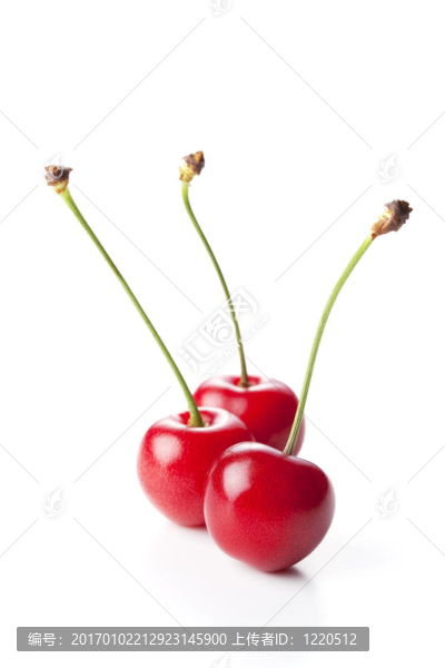 櫻桃