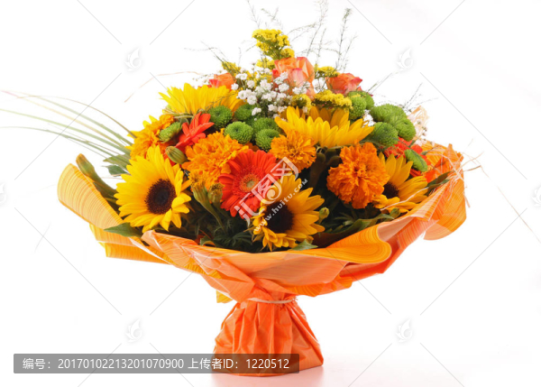 孤束花