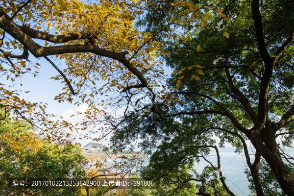 觀(guān)音山俯瞰滇池